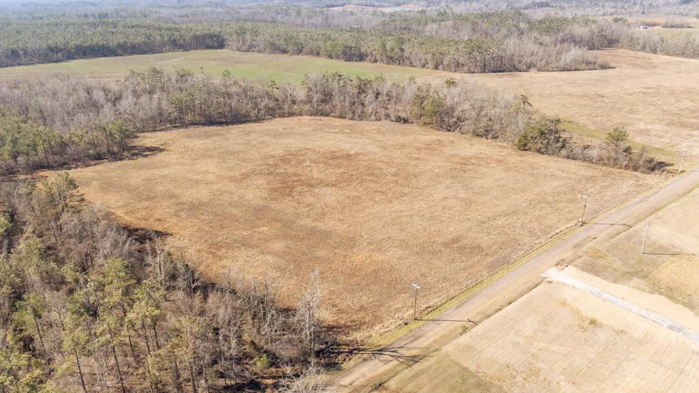 1 DR WILLIAMS RD Michie, TN 38357