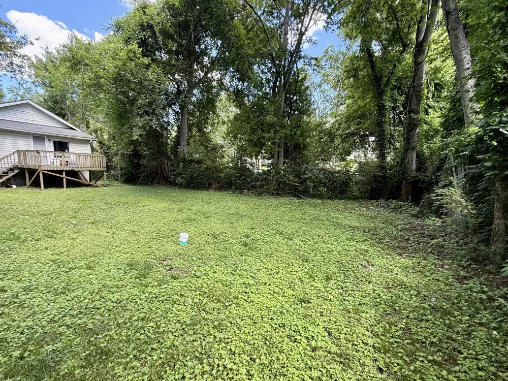 111B Newell Ave Old Hickory, TN 37138