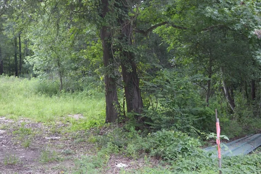 16787 Fm 1485 Road Conroe, TX 77306