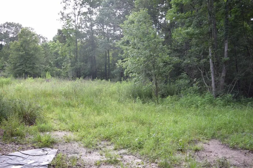 16787 Fm 1485 Road Conroe, TX 77306