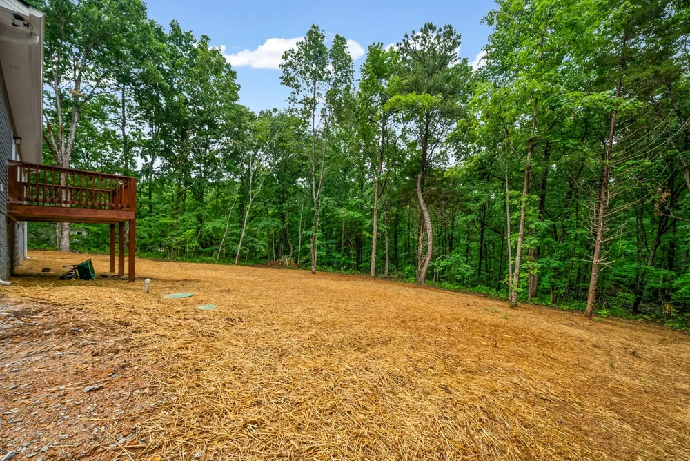 690 Brazzle Rd Waverly, TN 37185