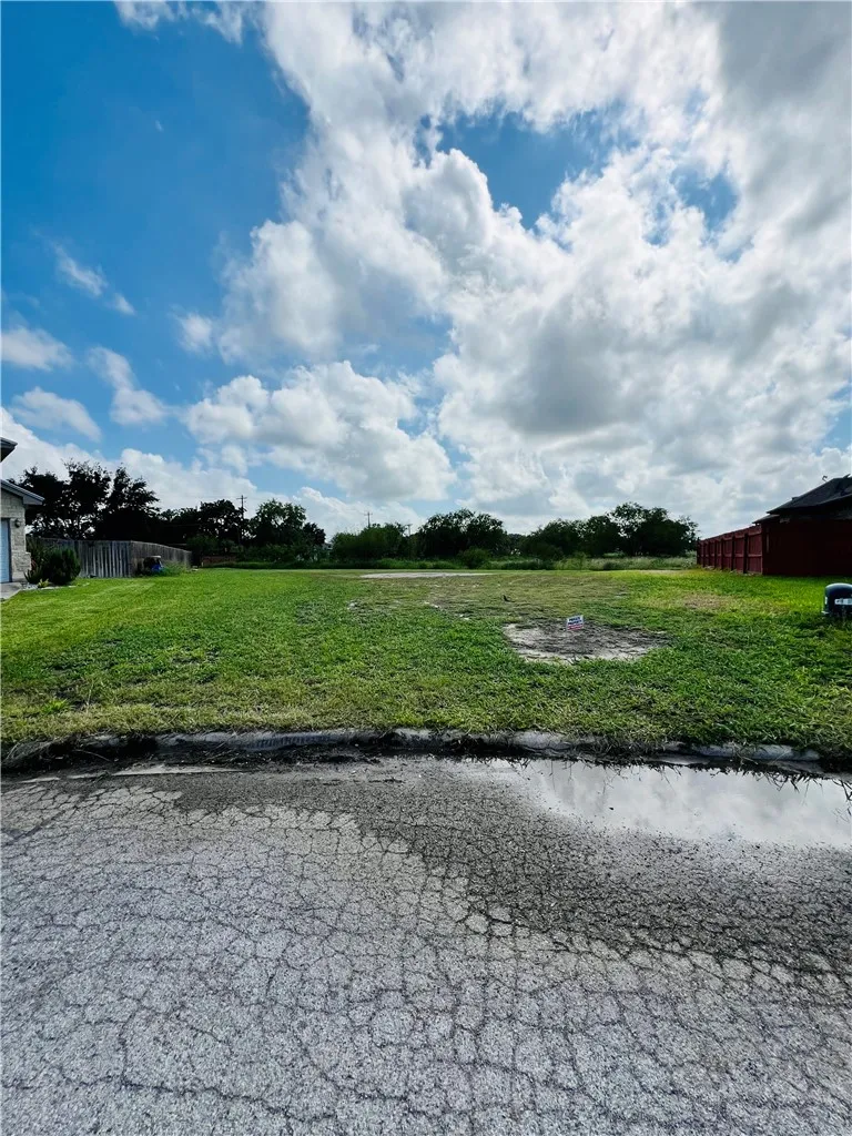 Diaz Drive Alice, TX 78332