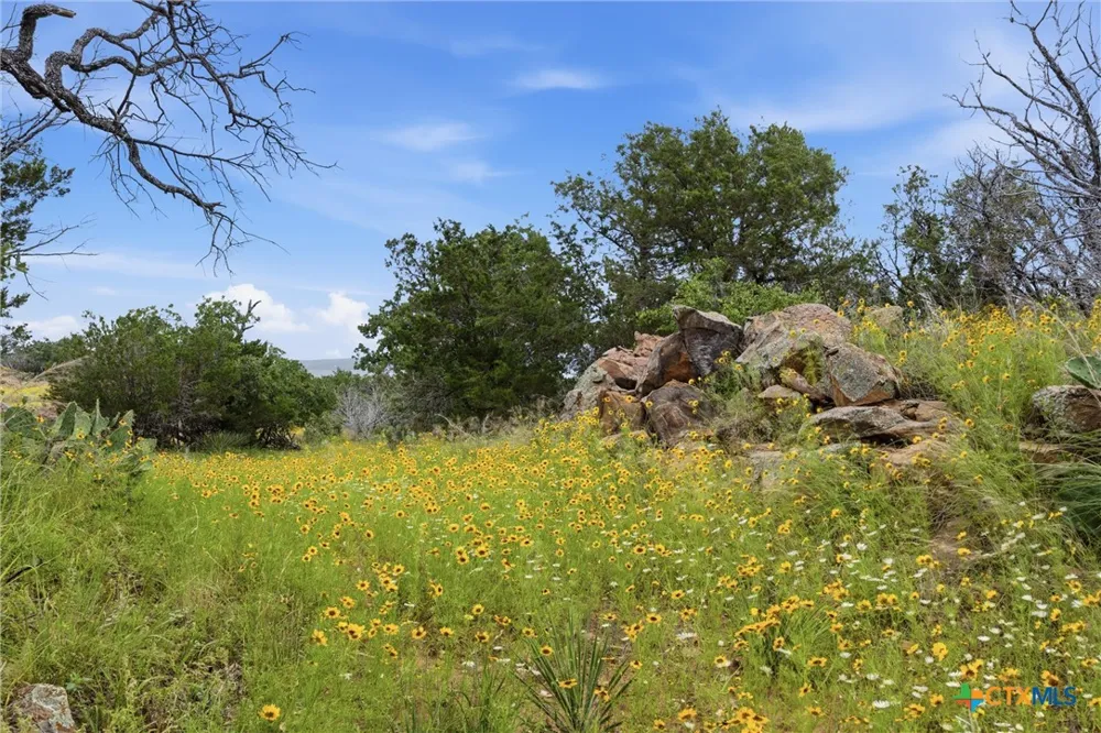 30 Peninsula Drive Burnet, TX 78611