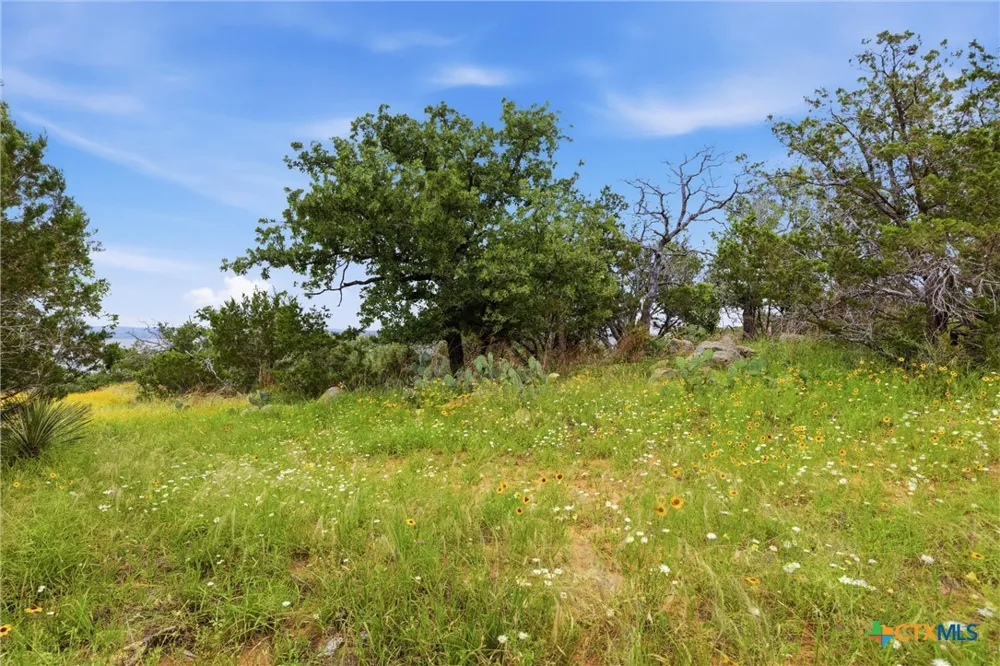 30 Peninsula Drive Burnet, TX 78611