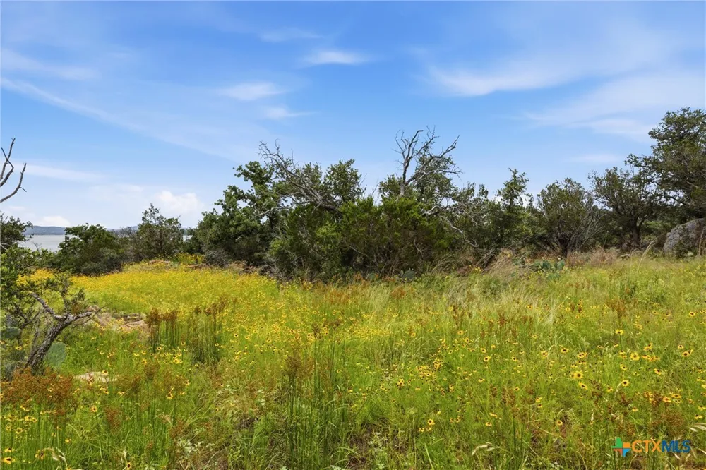 30 Peninsula Drive Burnet, TX 78611