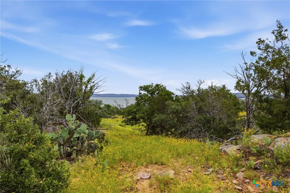 30 Peninsula Drive Burnet, TX 78611