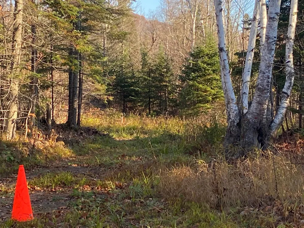 5121 Mount Rockwood Road Beaver Bay, MN 55614