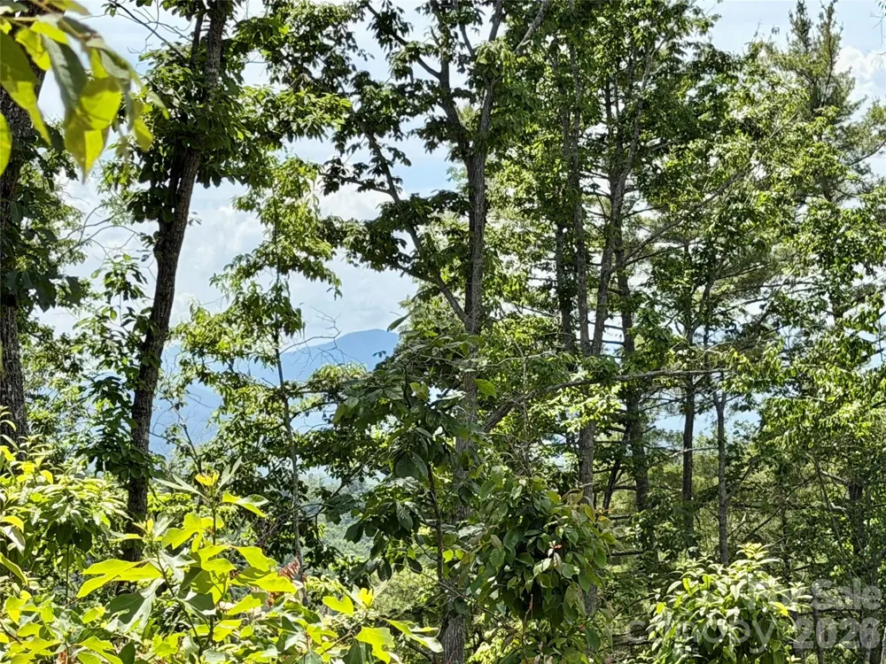 19 Villa Nova Drive Asheville, NC 28804