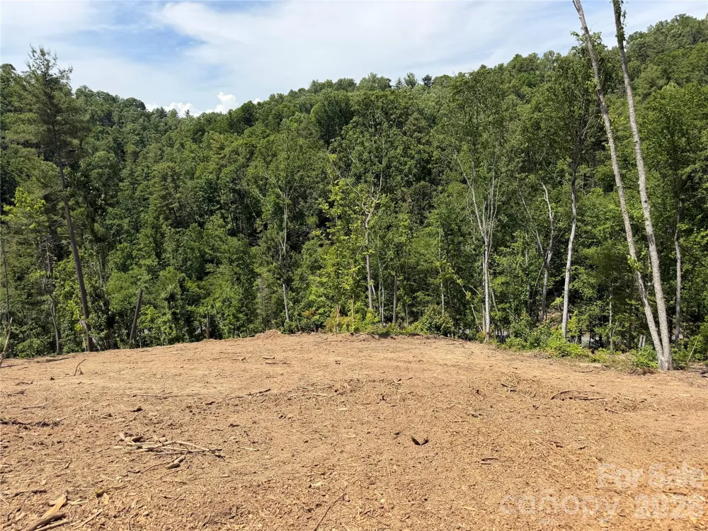 19 Villa Nova Drive Asheville, NC 28804