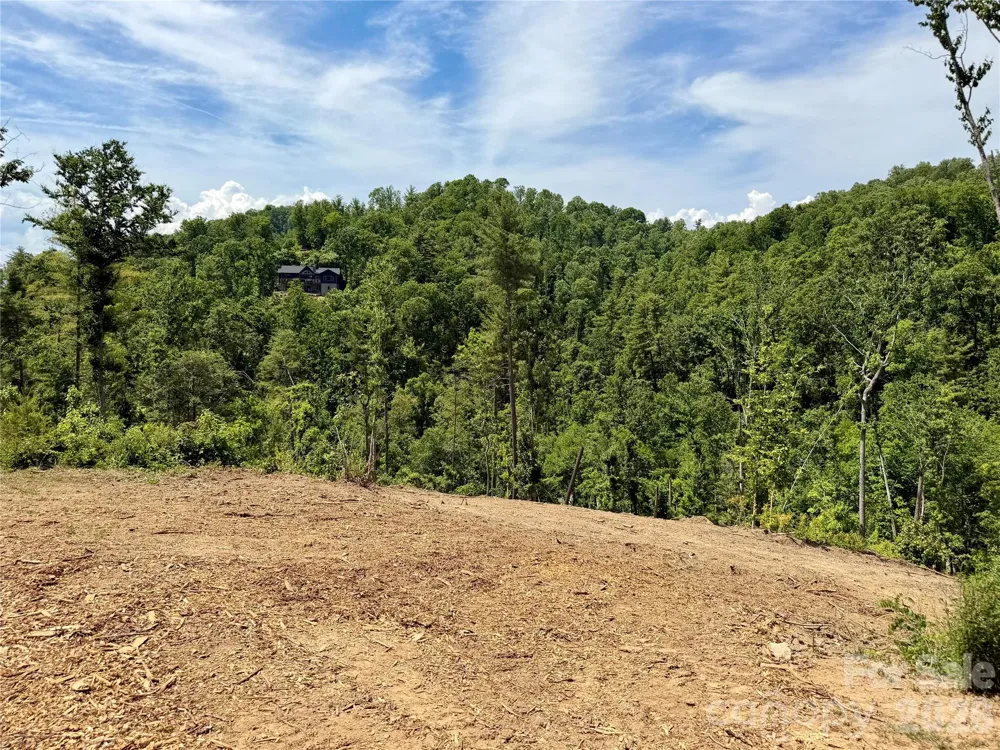 19 Villa Nova Drive Asheville, NC 28804