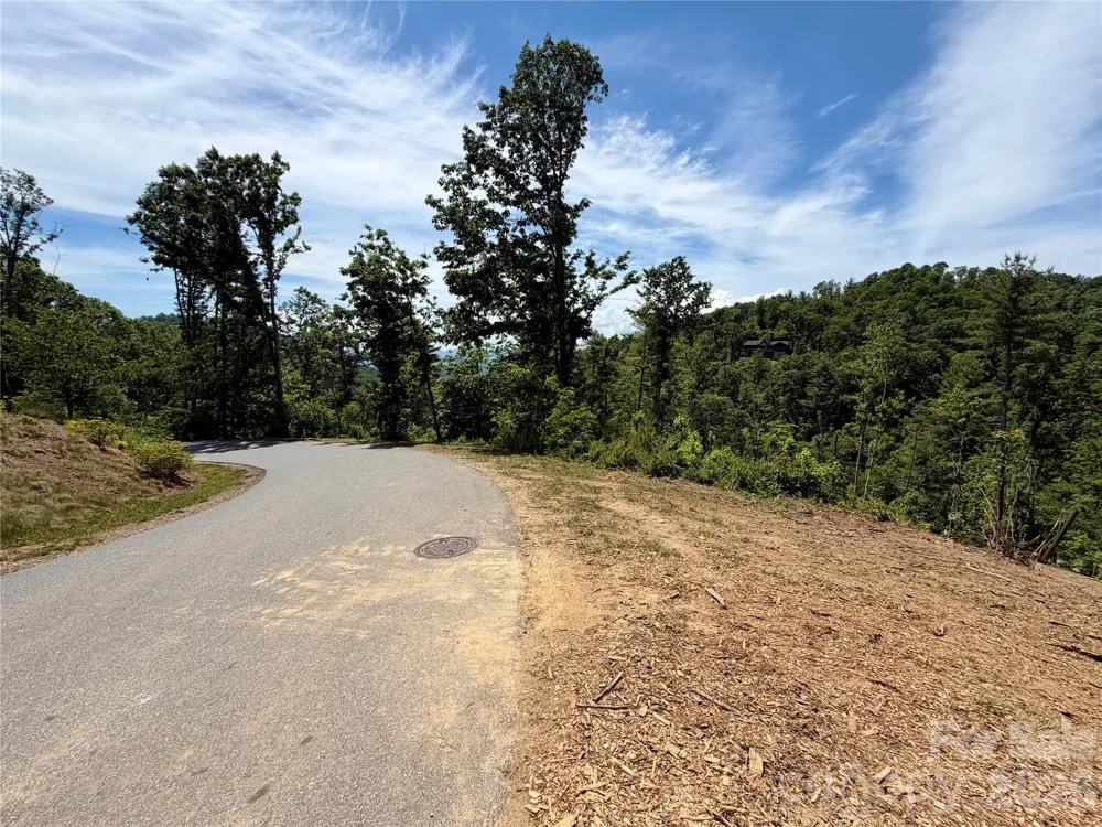 19 Villa Nova Drive Asheville, NC 28804