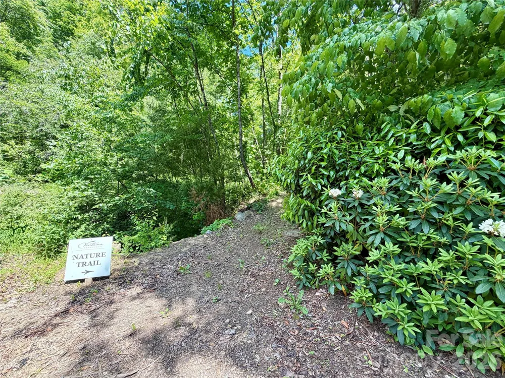 19 Villa Nova Drive Asheville, NC 28804