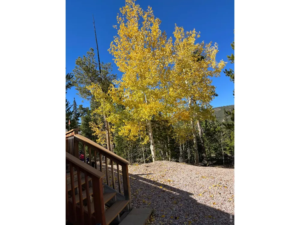 44 Natchez Circle Red Feather Lakes, CO 80545