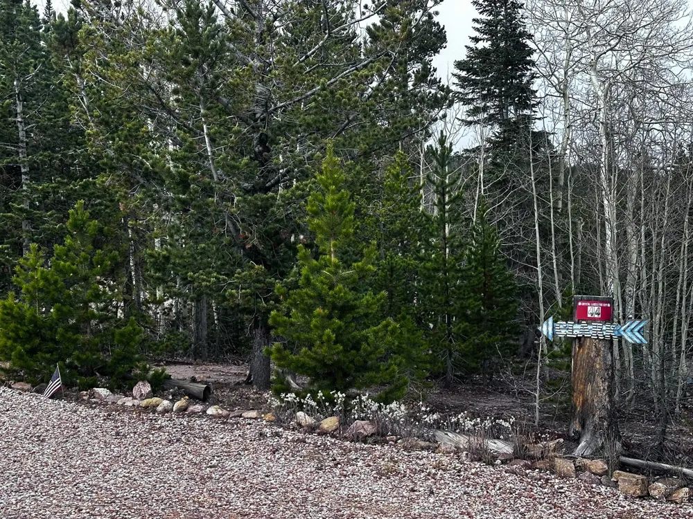 44 Natchez Circle Red Feather Lakes, CO 80545