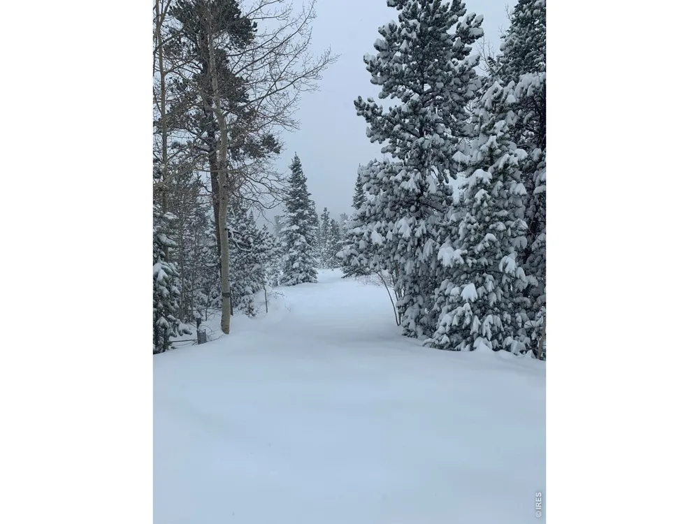 44 Natchez Circle Red Feather Lakes, CO 80545
