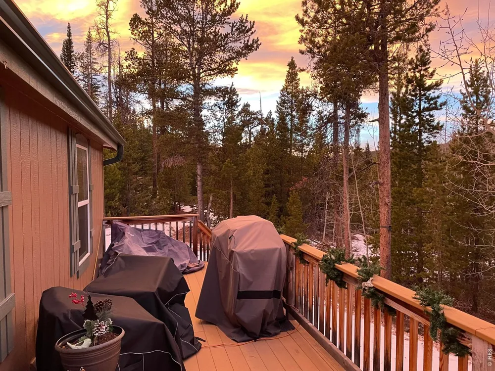 44 Natchez Circle Red Feather Lakes, CO 80545