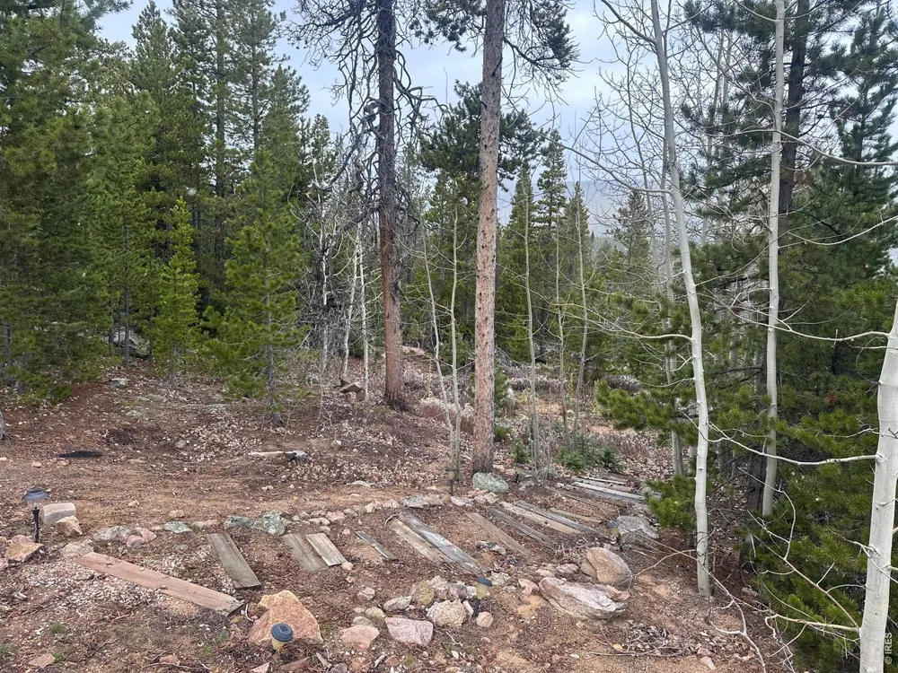 44 Natchez Circle Red Feather Lakes, CO 80545