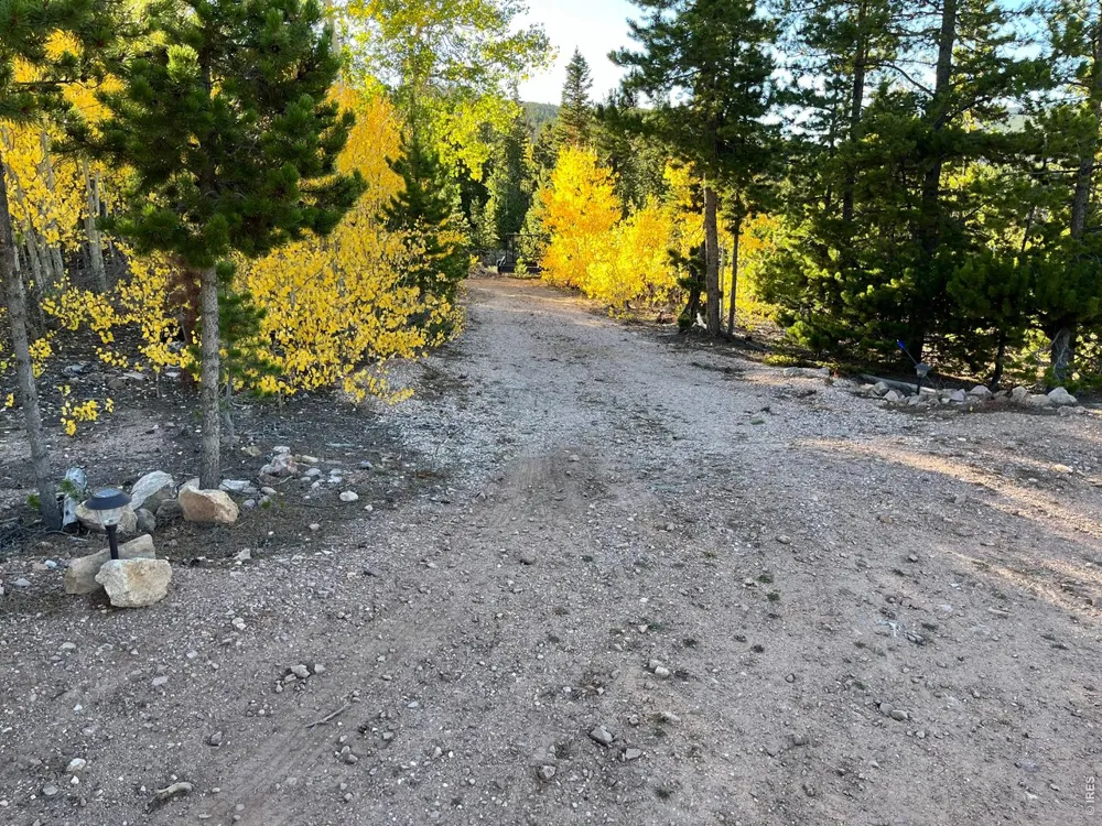 44 Natchez Circle Red Feather Lakes, CO 80545