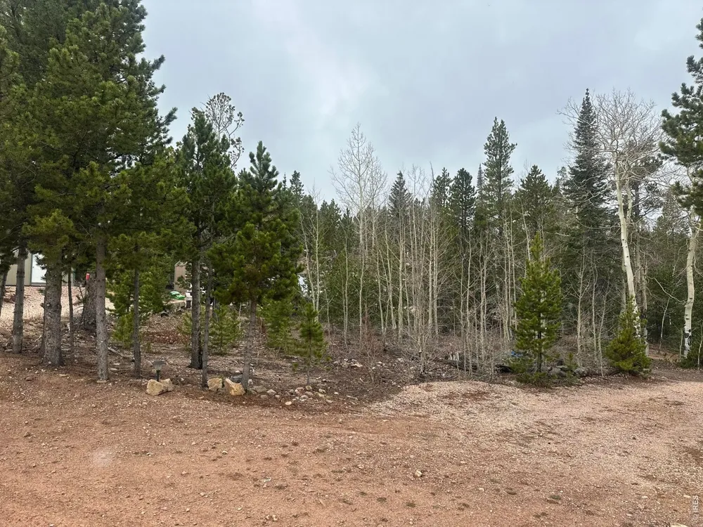 44 Natchez Circle Red Feather Lakes, CO 80545