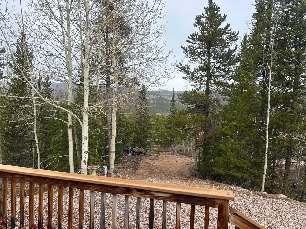 44 Natchez Circle Red Feather Lakes, CO 80545