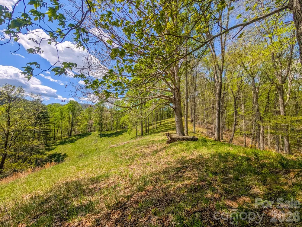 572 Pleasant Valley Road Burnsville, NC 28714