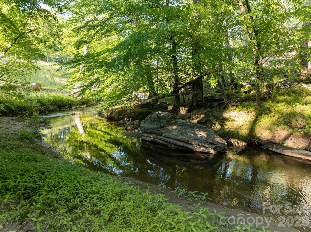 124 Lilikoi Lane #93 Asheville, NC 28804