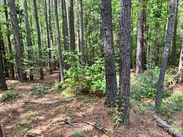 100 Shortoff Trail NW #156 Valdese, NC 28690