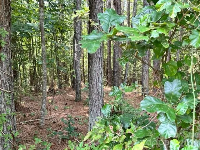 100 Shortoff Trail NW #156 Valdese, NC 28690