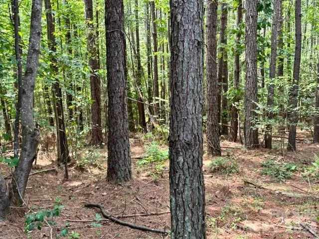 100 Shortoff Trail NW #156 Valdese, NC 28690