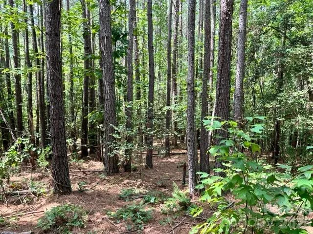 100 Shortoff Trail NW #156 Valdese, NC 28690