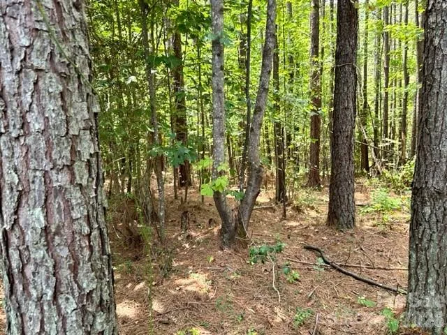 100 Shortoff Trail NW #156 Valdese, NC 28690