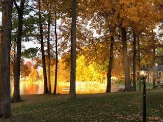 8495 O'Dowling Drive Onsted, MI 49265