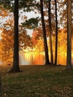 8495 O'Dowling Drive Onsted, MI 49265