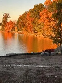 8495 O'Dowling Drive Onsted, MI 49265