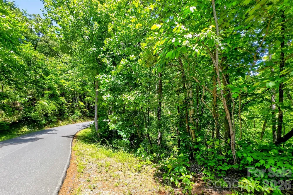 999 Justice Drive Lake Lure, NC 28746