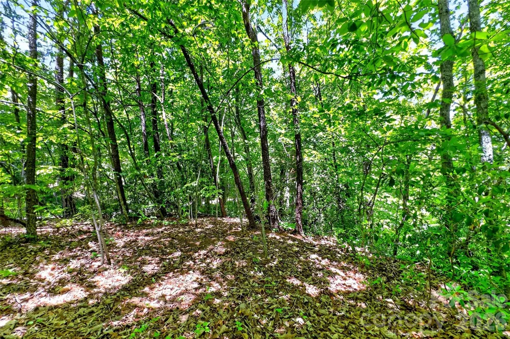 999 Justice Drive Lake Lure, NC 28746