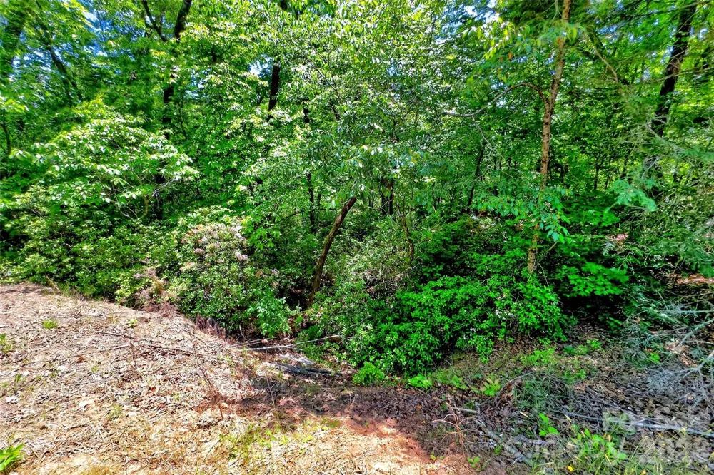 999 Justice Drive Lake Lure, NC 28746
