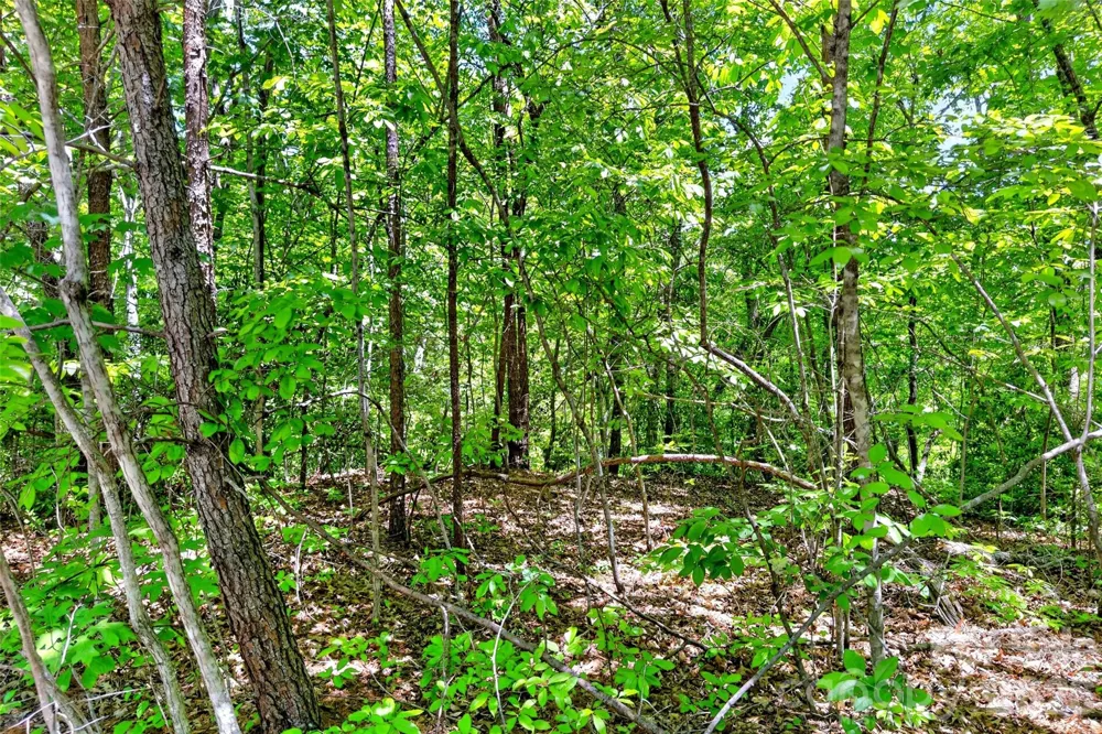 999 Justice Drive Lake Lure, NC 28746
