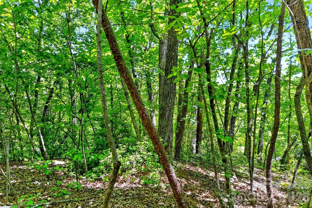 999 Justice Drive Lake Lure, NC 28746