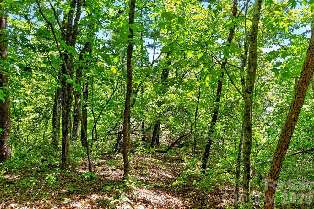 999 Justice Drive Lake Lure, NC 28746