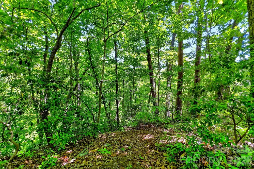 999 Justice Drive Lake Lure, NC 28746