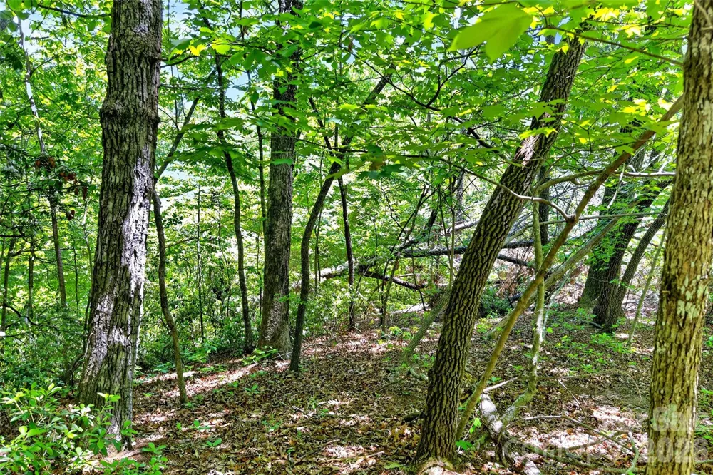 999 Justice Drive Lake Lure, NC 28746