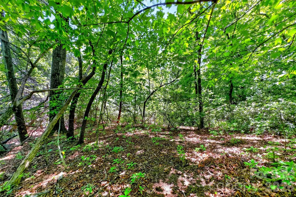 999 Justice Drive Lake Lure, NC 28746