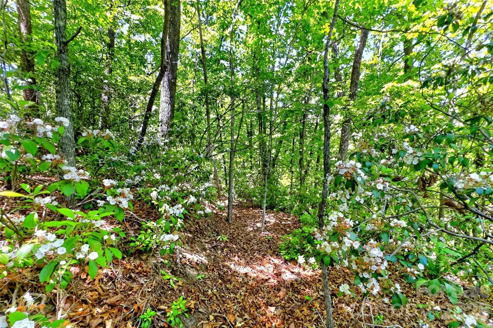 999 Justice Drive Lake Lure, NC 28746