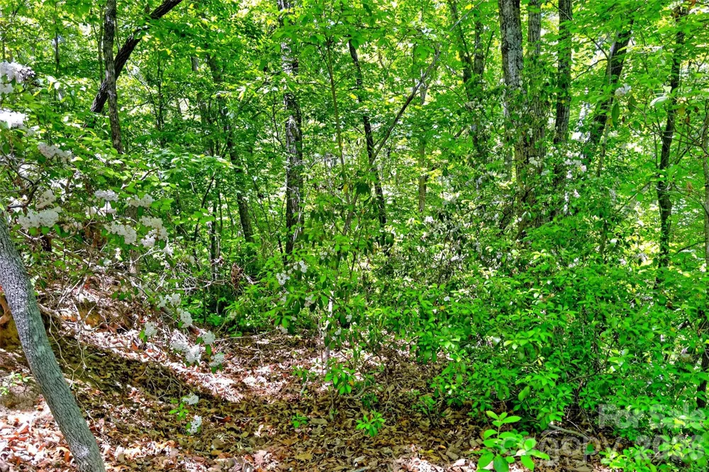 999 Justice Drive Lake Lure, NC 28746