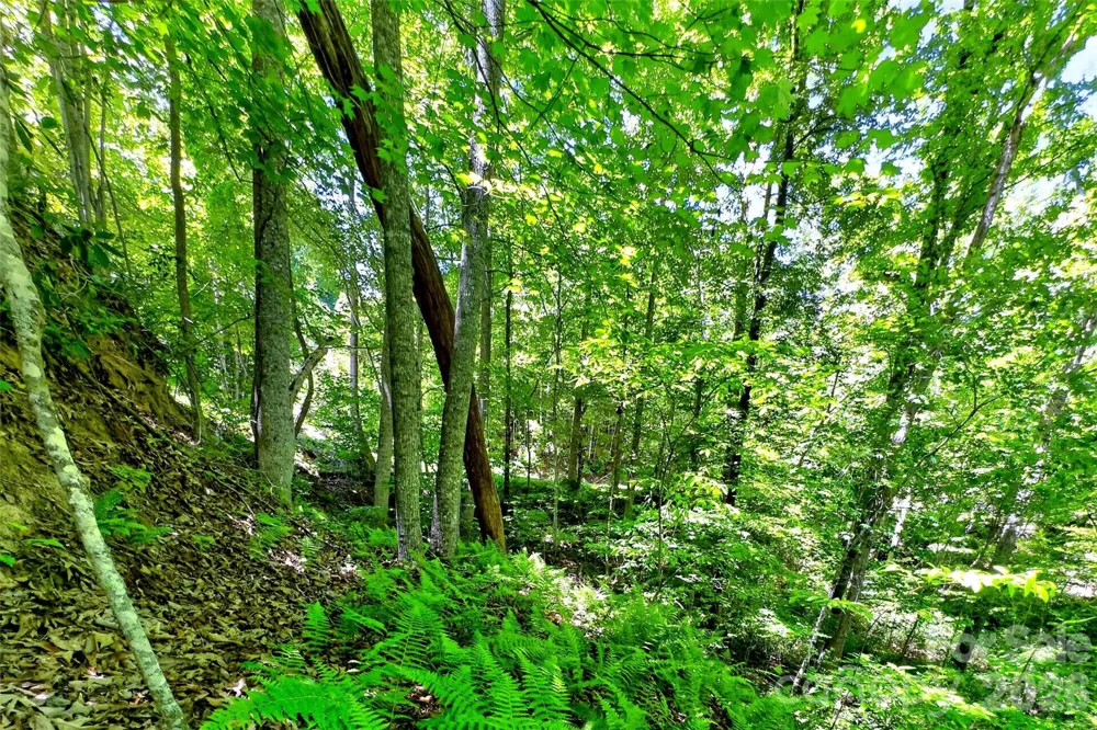 999 Justice Drive Lake Lure, NC 28746