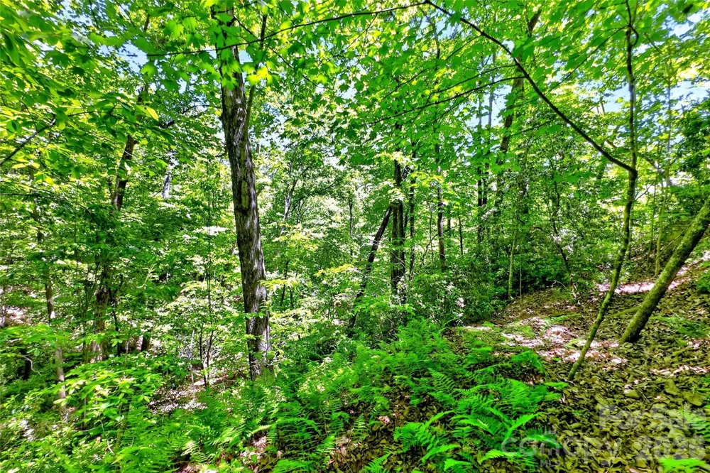 999 Justice Drive Lake Lure, NC 28746