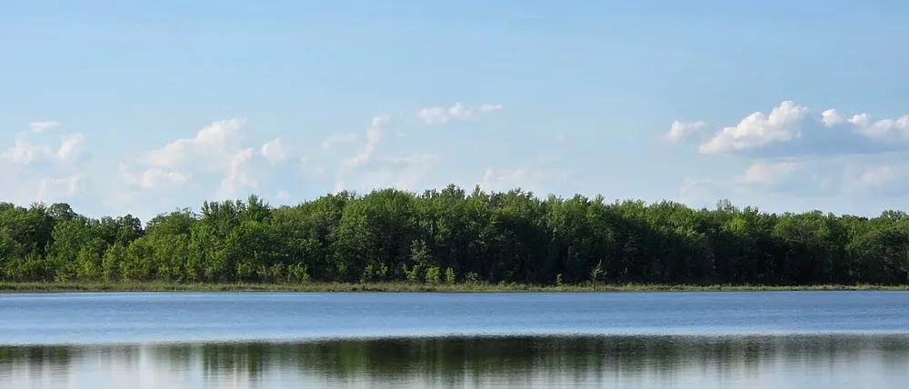 Drive S Burlington, MI 49029
