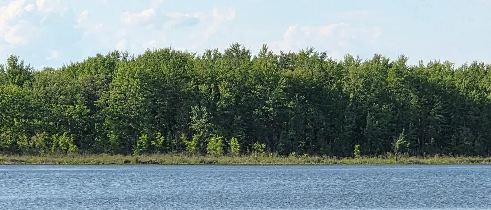 Drive S Burlington, MI 49029