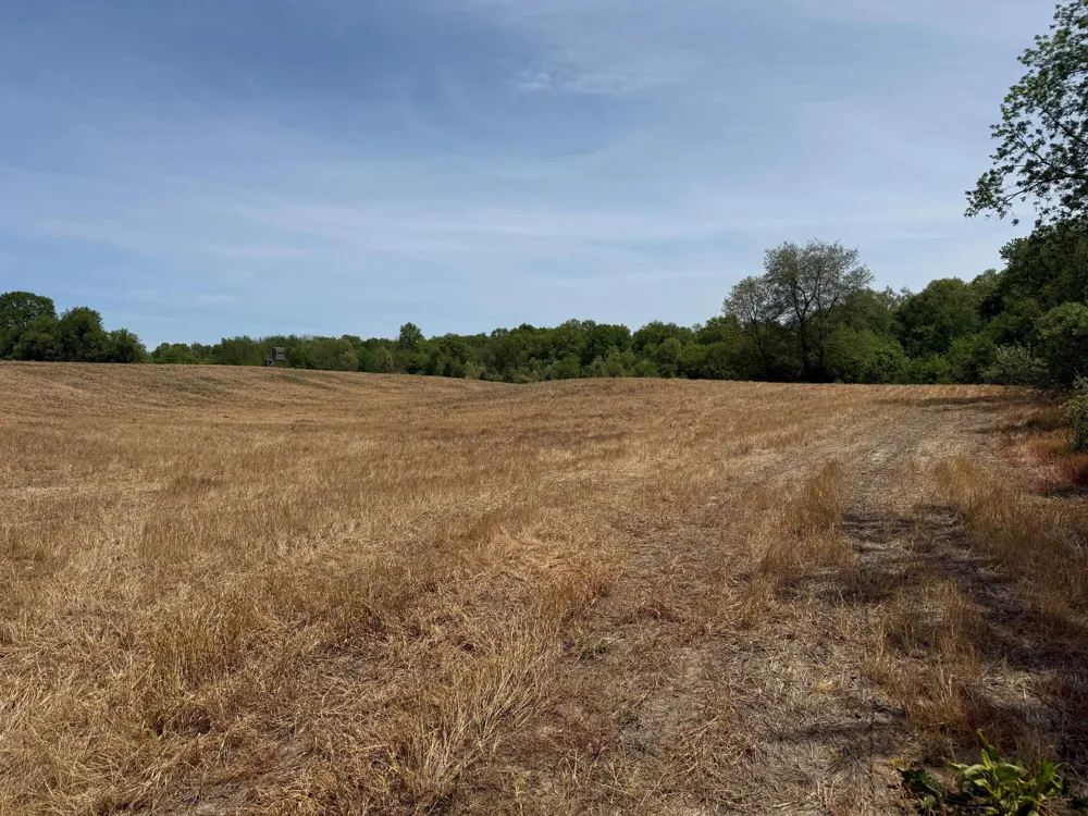 Kingsbury Road Delton, MI 49046